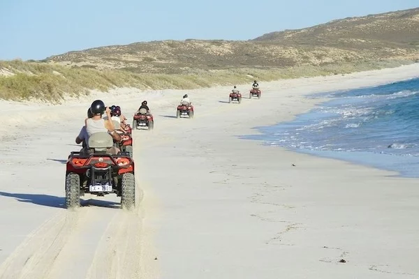 Hurghada: Safari Sea and Desert